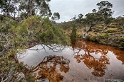 Colorful Pond Cradle Mountain Tasmania - Duncan.co