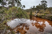 Colorful Pond Cradle Mountain Tasmania - Duncan.co
