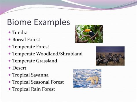 Ppt Chapter 15 The Biosphere And Chapter 16 Human Impact On