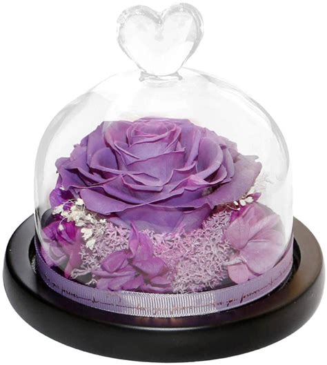 Forever Rose In A Glass Dome With T Box Purple By Flower Petal