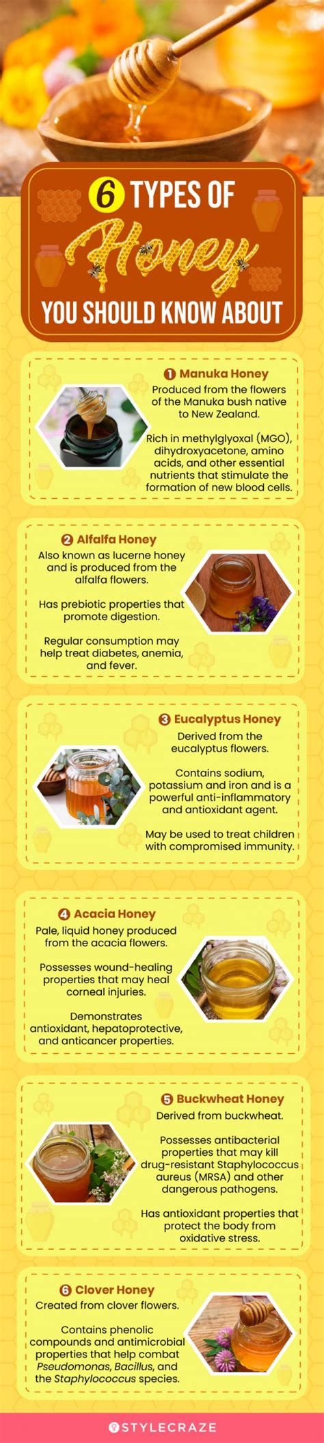 10 Types Of Honey What How And Why Should You Know About Them