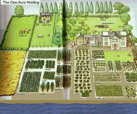 Farm Layout Homestead Layout Garden Layout Vegetable