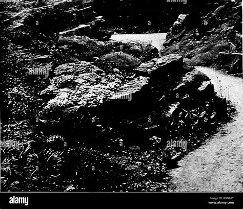 . Gardens for small country houses. Gardens. 240 Gardens for Small