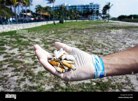 Miami Beach Florida,ECOMB,Environmental Coalition of,Miami Beach,Big