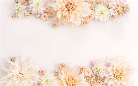 Aesthetic Flowers Desktop Wallpapers Top Free Aesthetic