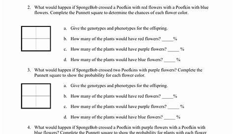 spongebob punnett square worksheets answer key