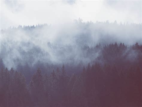Free Images Nature Forest Wilderness Mountain Snow Cloud Sky