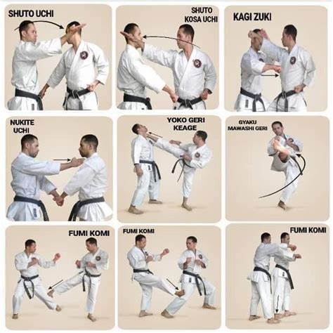 Taekwondo Block Moves Art Of Move