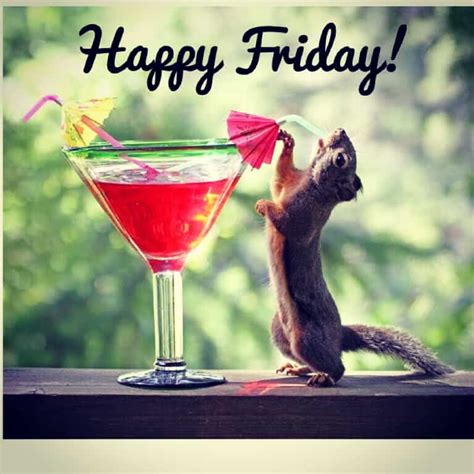 Maybe you would like to learn more about one of these? Happy Friday Memes - We Need Fun