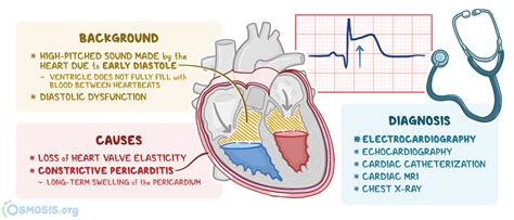 Pericardial Knock What Is It Causes Treatment And More Osmosis