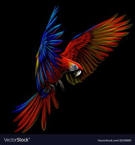 Portrait A Macaw Parrot In Flight Royalty Free Vector Image