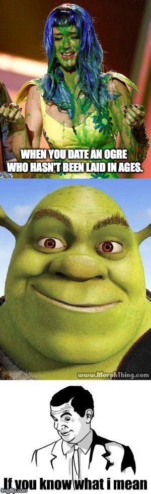 Image Tagged In Katy Perry Slimed Shrek If You Know What I Mean Meme Imgflip