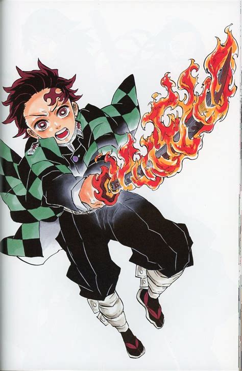 Demon Slayer Kimetsu No Yaiba Gotoge Koyoharu Art Book Ikuseiso