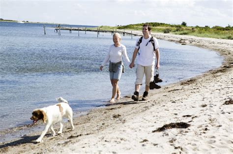 Vakantie In Denemarken Met Hond Tips Dansk Nl D Denemarken