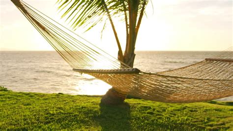 Romantic Couple Relaxing In Tropical Hammock At Sunset Summer Luxury Vacation Slow Motion