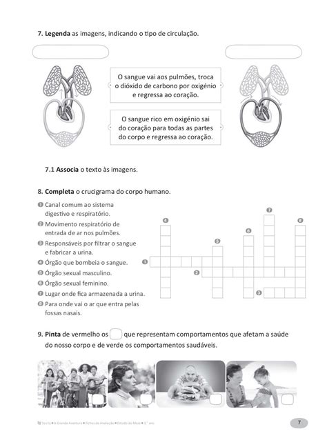 Fichas De Avaliação Estudo Do Meio3º Ano