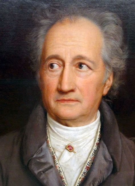 Johann Wolfgang Von Goethe Goethe Portrait Writers And Poets