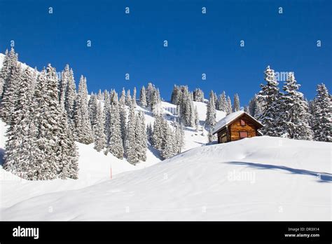 Winter In The Swiss Alps Braunwald Glarus Switzerland Stock Photo