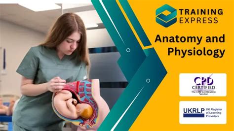 Online Anatomy And Physiology Courses And Training Uk