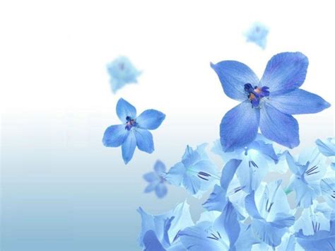 Blue Flower Wallpapers Wallpaper Cave