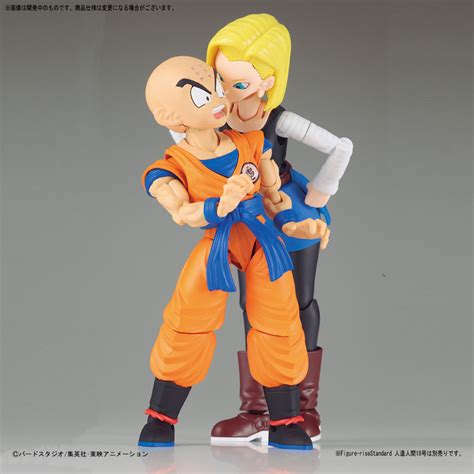 As majin vegeta, vegeta is a super saiyan 2, his eyelids are black, and the m symbol on his forehead, the mark of the majin, indicating he is now a servant of babidi. Krillin Dragon Ball Z Figure-rise Standard
