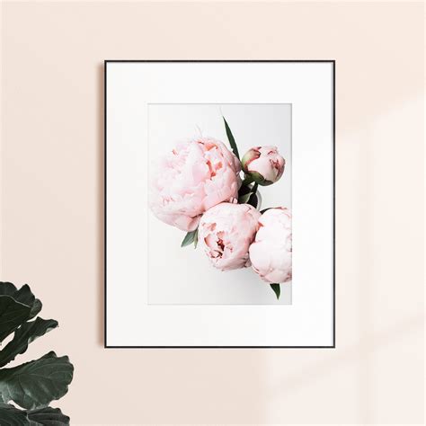 Pink Peony Wall Art Floral Wall Decor Digital Download Etsy