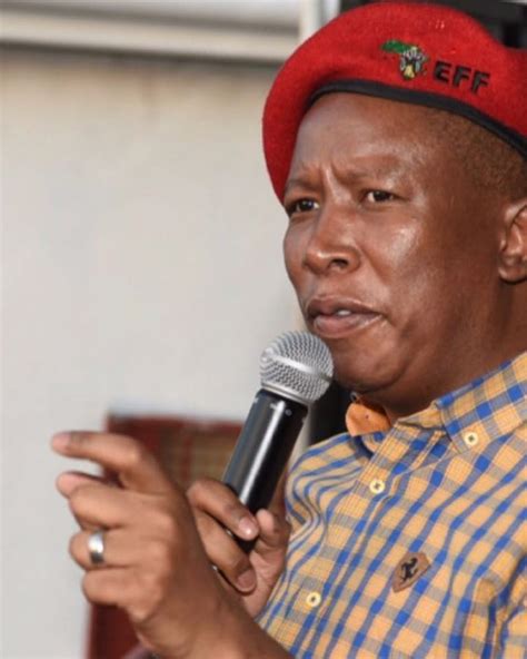 Stream julius malema, a playlist by madichaba phuti chelopo from desktop or your mobile device. Julius Malema replies to President Trump's message: Stay out of SA's land affairs | Mzansi365.co.za