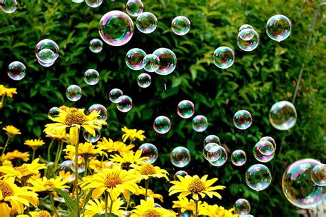 Hd Wallpaper Soap Bubbles Colorful Flowers Summer Flying Make