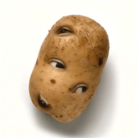 Funny Weird Potato  S Only Bewegende Plaatjes Pinterest