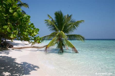 Le climat, la météo & les saisons aux maldives. Quand partir aux Maldives ? Climat, tarifs,