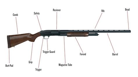 Parts Of A Shotgun A Complete Guide Afield Daily