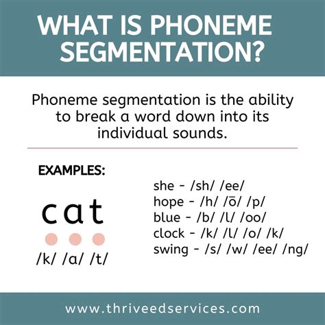7 How To Teach Phoneme Segmentation Mới Nhất Tin Nhanh