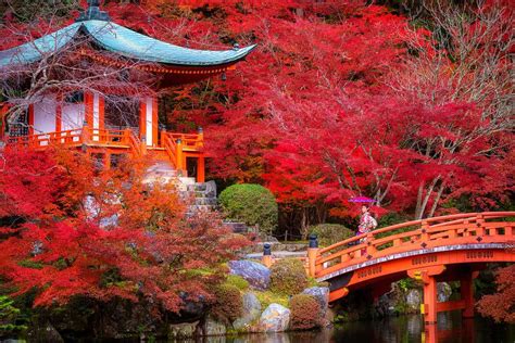 Fall Foliage In Japan Where To Go What To Do The Weather And More