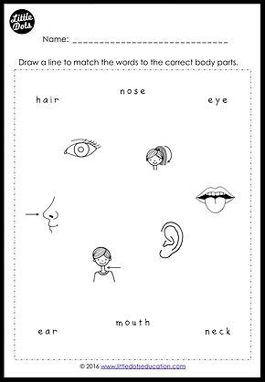 You will find tracing worksheets, crossword puzzles, word search puzzles, matching exercises and more. Free Body Parts Worksheets for Preschool