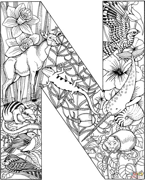 Letter N Coloring Pages Learny Kids