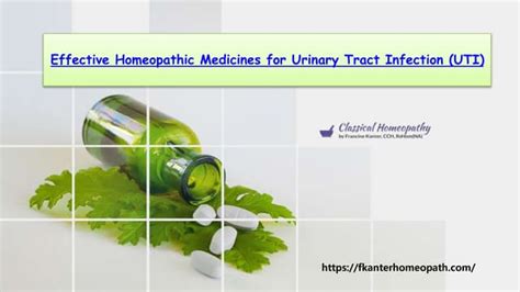 Effective Homeopathic Medicines For Urinary Tract Infection Utipptx