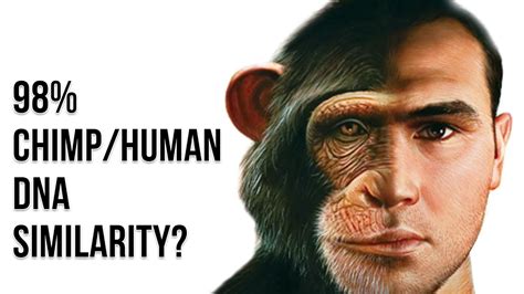 Humans And Chimpanzees Share 98 Of Their Dna Which Is Evident In Our