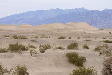 Desert Description Land Biome Overview