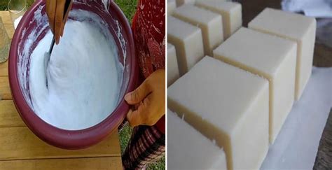 Aprenda Como Hacer Jabón de Coco en su Casa Líquido y Barra Food