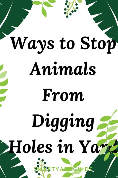 How To Stop Animals From Digging Holes In Yard In 2021 Digging Holes