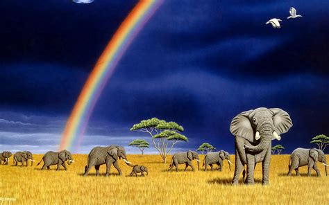 Beautiful Elephants High Resolution Wallpaper And Images
