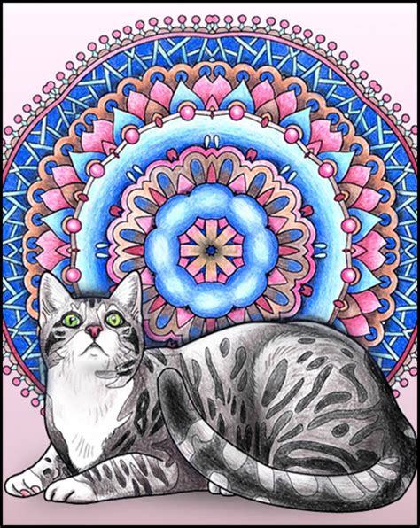 Calming Cats And Kittens Adult Coloring Book 30 Pages Etsy