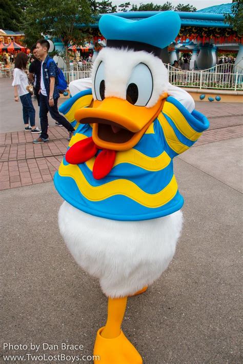Donald Duck With Images Donald Duck Mickey And Friends Duck
