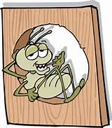 Termite Cartoon Photos