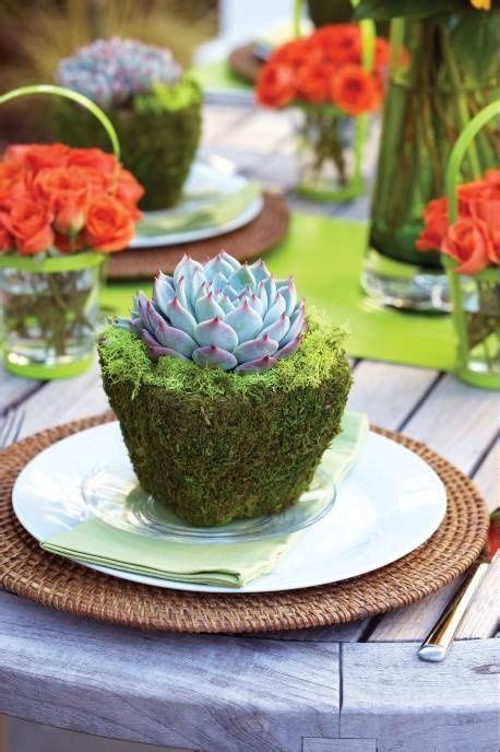 Founded in 1915 in idaho, safeway today operates as a banner of albertsons companies, one of the largest food and drug retailers in the united states. Mossy Succulent. Debi Lilly Design for Safeway / Dominick ...