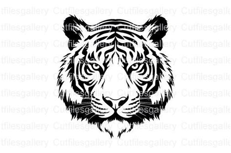 3 Black Tiger Svg Designs Graphics