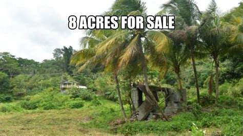Malaysia land for sale +. Agricultural Land For Sale In Grenada - YouTube