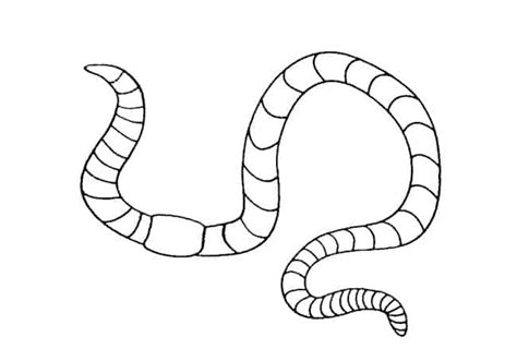 How To Draw Earthworm The Earth Images Revimageorg