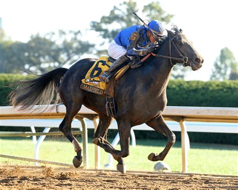 Brian Nadeaus Longer Road To The Triple Crown Brooklyn Backstretch