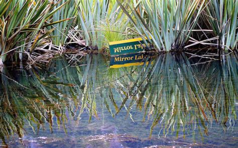 Mirror Lakes Der Spiegel Der Welt Auf Dem Weg Zum Milford Sound
